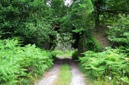 Houeillès, balade en forêt 