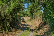 Circuit Les Moulins, les Ecuyers à Muneville-le-Bingard