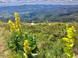 Randos 3 Frontières: Col du Wettstein 68