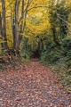 Circuit Les Bonnes Gens - Le Mesnilbus