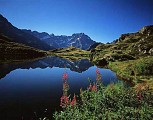 PS-2-gr54-col-du-sirac