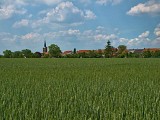 Vue depuis le chemin des morts