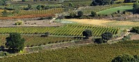oenorando terroirs Gignac Aniane 5 @ Gisèle et Daniel Leboucher