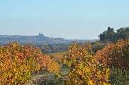 Béziers depuis Maraussan crédit Myriam Roussel