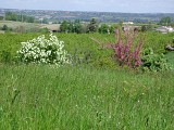 ITIAQU047FS0003G_LévignacStBrice1