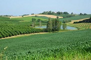 ITIAQU047FS000DW_Hautesvignes1