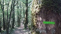 Photo2_ThézacVerdus_2017