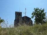 Grateloup-2