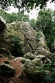 Du côté des Roches