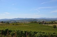 Saint-Jean-des-Vignes - Espace des Pierres Folles