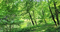 au printemps