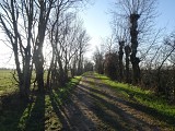Meyzieu - Rando douce - À travers champs, à l'est de la métropole