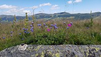Le Puy-Mary