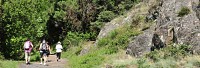 Le chemin des Crêtes