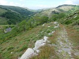 Frutgères