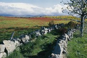 La cham de l'Hermet (sentier de l'Hermet)