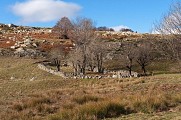 Parc à moutons vers l'Aubaret