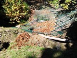 Ramassage des Châtaignes