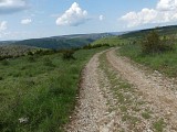 Les gorges de la Jonte