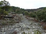 Paysage autour de St-Roman de Tousque
