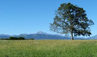 Le chemin des Tumulus