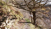 Le chemin d'Ardengost