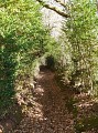 Le chemin d'Ardengost