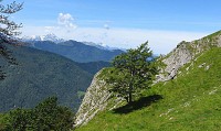 Le Tourroc