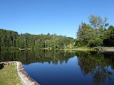 Le Bois du Lac des Moines