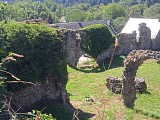Le Bois du Lac des Moines