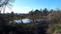 Chassagny - Les landes de Montagny - (marche nordique - Rando-douce)