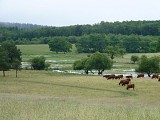 Le tour du marais de Cassan et Prentegarde