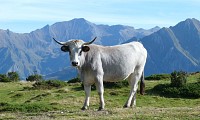 Le lac de Soum