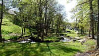 Le pays vert Chanteixois du Puy Maurians aux Zignalets_1