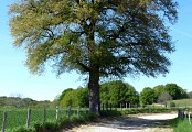 Le pays vert Chanteixois du Puy Maurians aux Zignalets_4