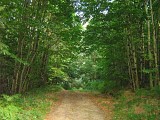 Sentier Les Chevreuils_2