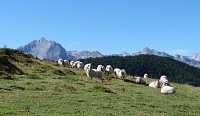 Le pic de Bazès