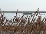 Saint-Laurent-de-la-Prée : la pointe de la Parpagnole