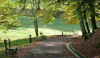 Le vallon du Salut