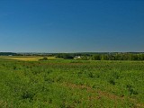 le plateau