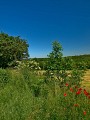 Entrée du Chemin des Anes 