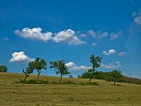Le chemin d'Udera