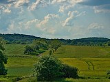 Le chemin d'Udera