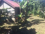 Le Piton Baille-Argent