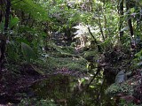 La boucle des Étangs