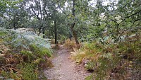 Neuvicq : la vallée du Mouzon