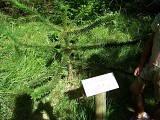 Arboretum de l'Hort de Dieu