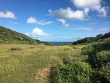 Littoral entre Anse a la Barque et Anse des Rochers