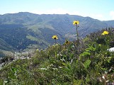 Le Plomb du Cantal