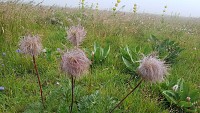 Le Plomb du Cantal